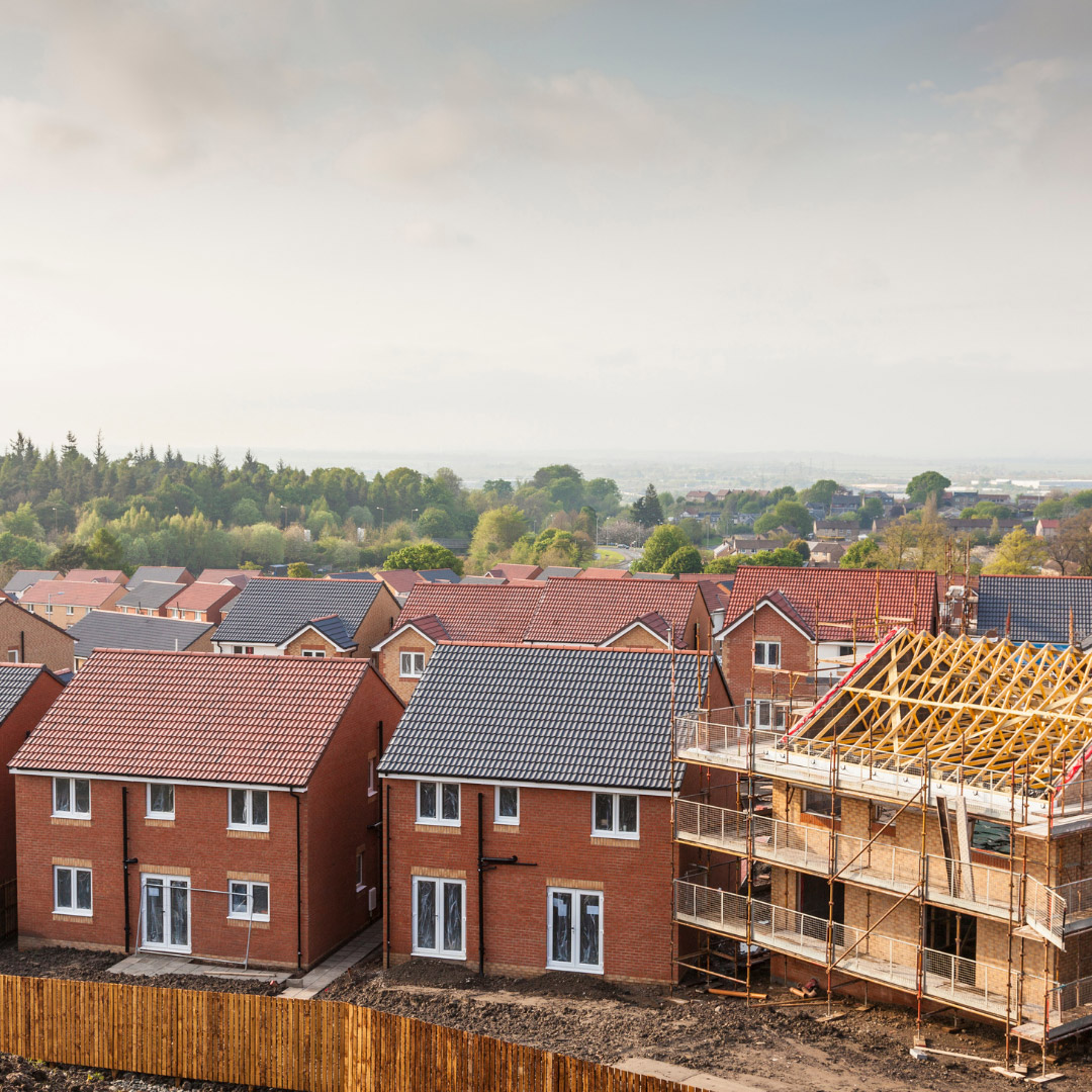 new builds